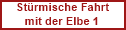 Kegelrobben Beobachtung Dezember 2018
