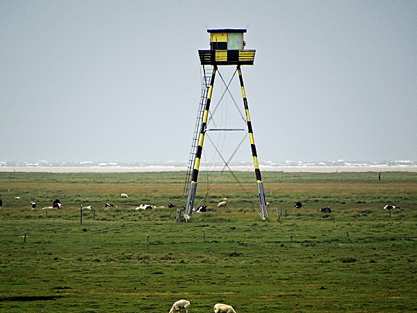 romo schiessgelaende 02