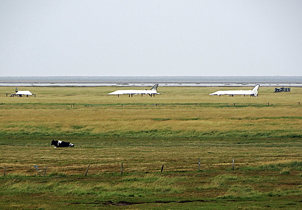 romo schiessgelaende 03