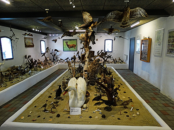 romo vogelmuseum 04