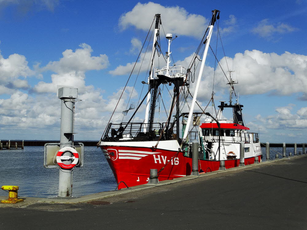 05 - Krabbenkutter im Hafen von Havneby