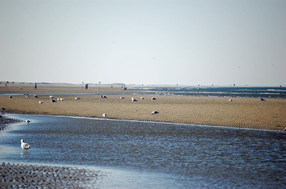 roemoe lakolk strand 20