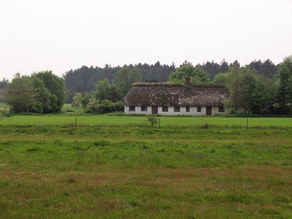 romo bilder 22